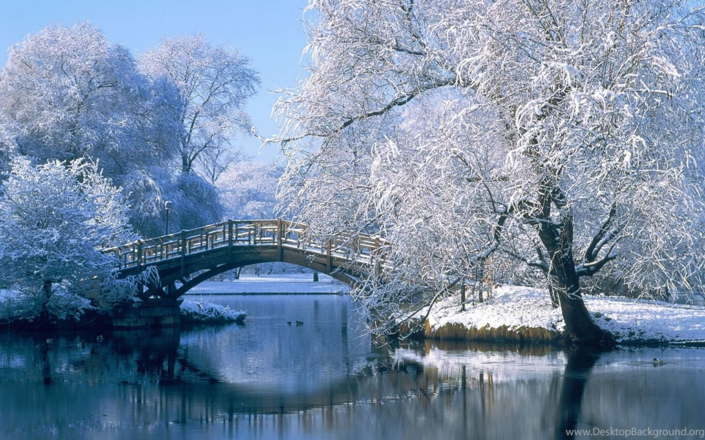 Winter Wallpapers