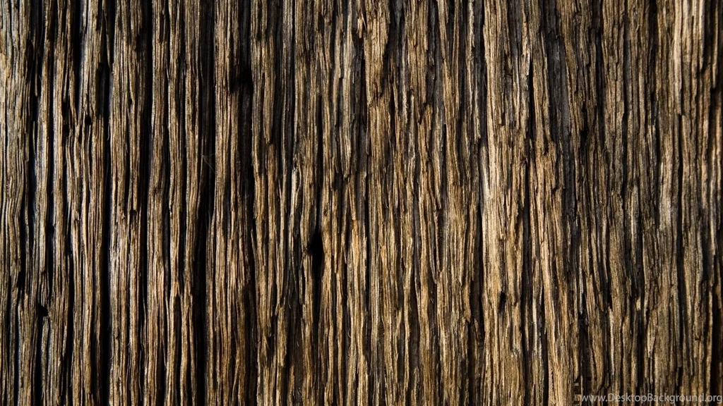 Download Wallpapers 1920x1080 Bark, Wood, Background, Texture Full ...