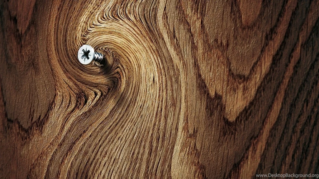 High Resolution Wood Tree Wallpapers 1920×1080 Full Size ...