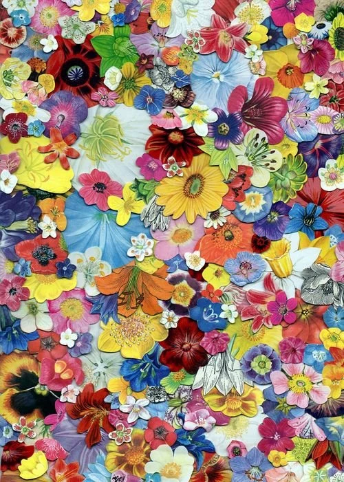 Phone Backgrounds Pictures