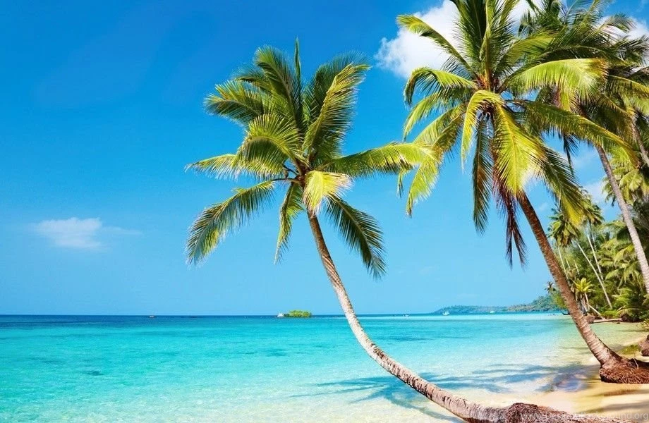Tropical Beach 4K Ultra HD Wallpapers
