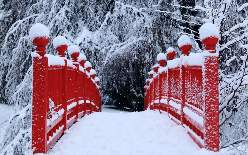 Snow