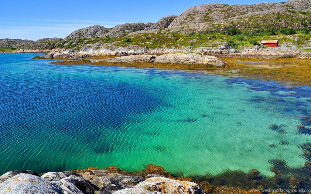 Sea Water Bay Seaweed Wallpapers
