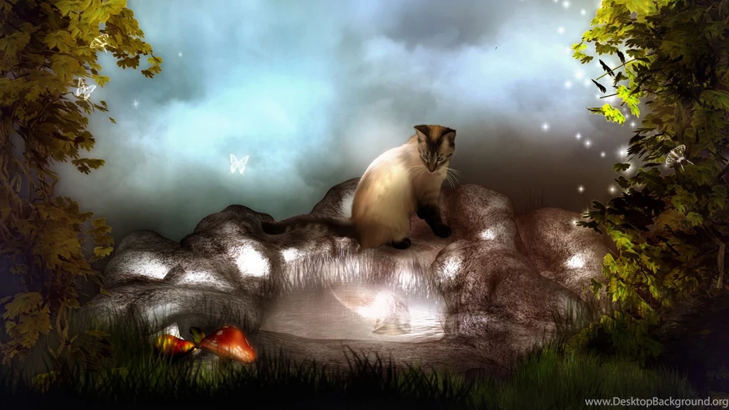 Wallpapers Hd Widescreen High Quality PC Dekstop Full Hd