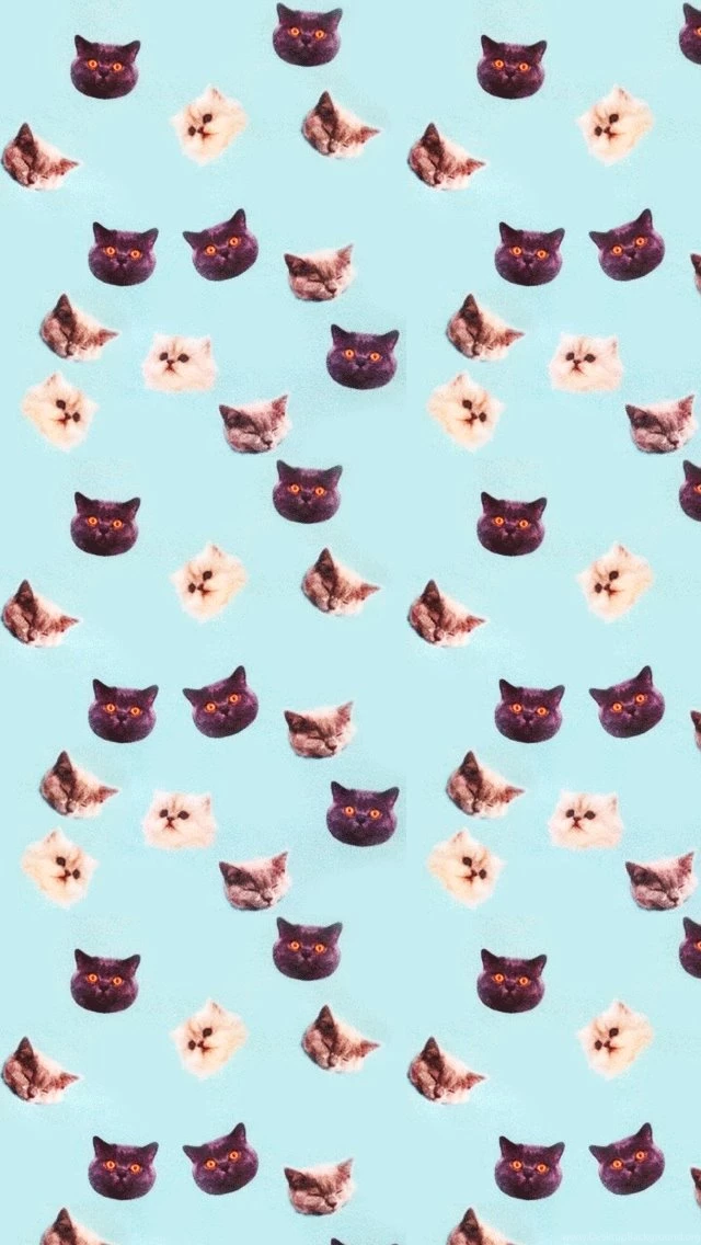 Hypno Cats iPhone Wallpapers