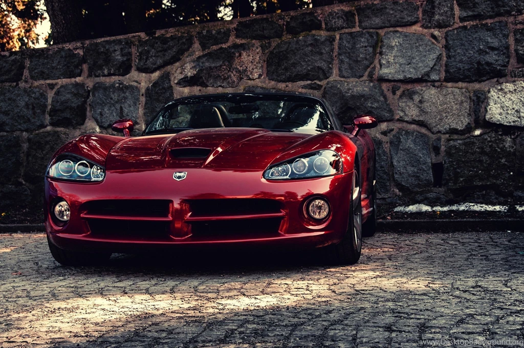 Viper Computer Wallpapers, Desktop Backgrounds