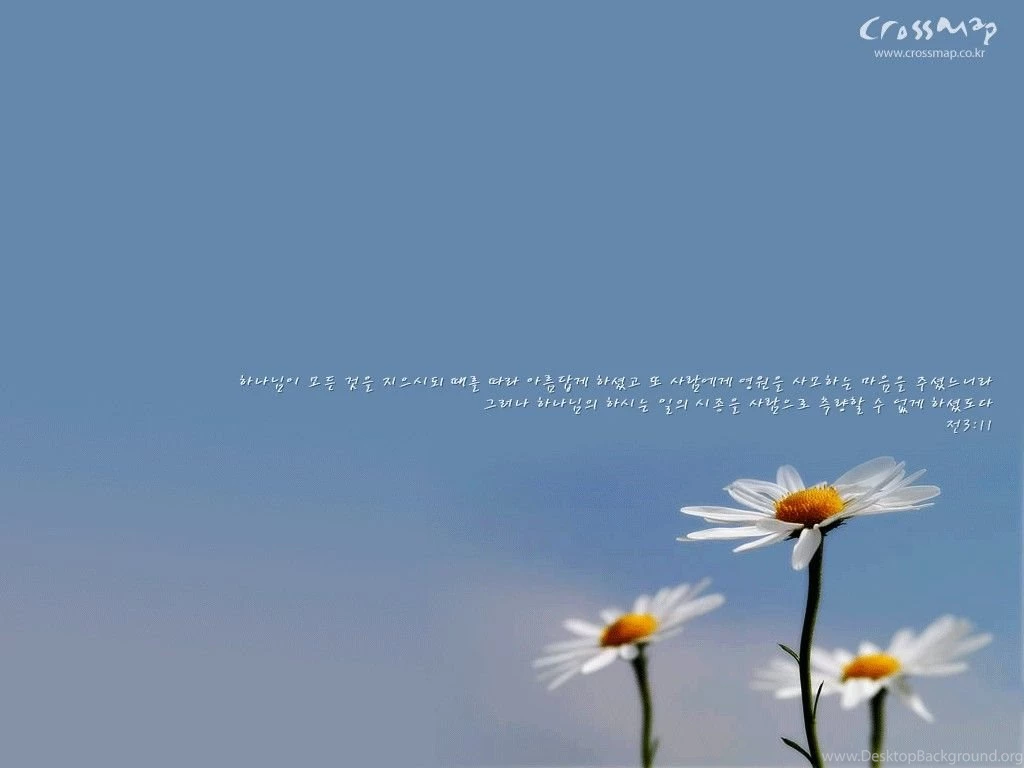 Scenery Wallpapers With Bible Verses 1024x768 NO.7 Desktop ...