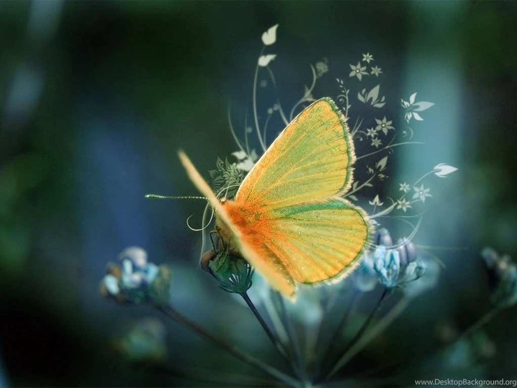 Top Top Desktop Background Images For Pinterest