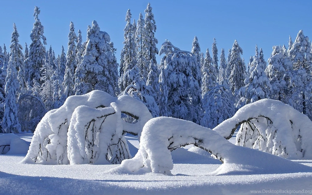Hd Winter Wallpapers 3 – HdCoolWallpapers.Com