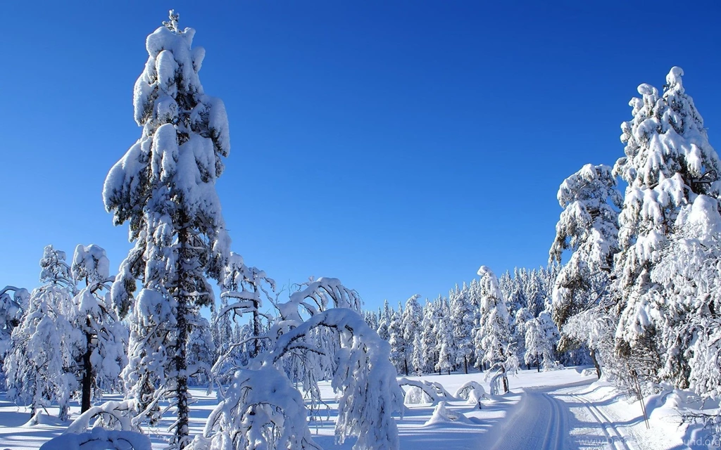 Beautiful Winter Wallpapers In Best Quality Snow Landscapes At ...
