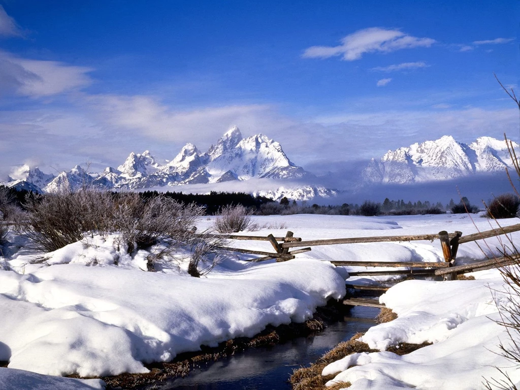 Free Wallpicz: Hd Desktop Wallpapers Snow
