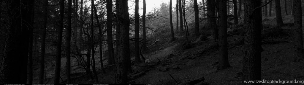 National Days – Funny, Food And Forgotten Days Of The Year ...