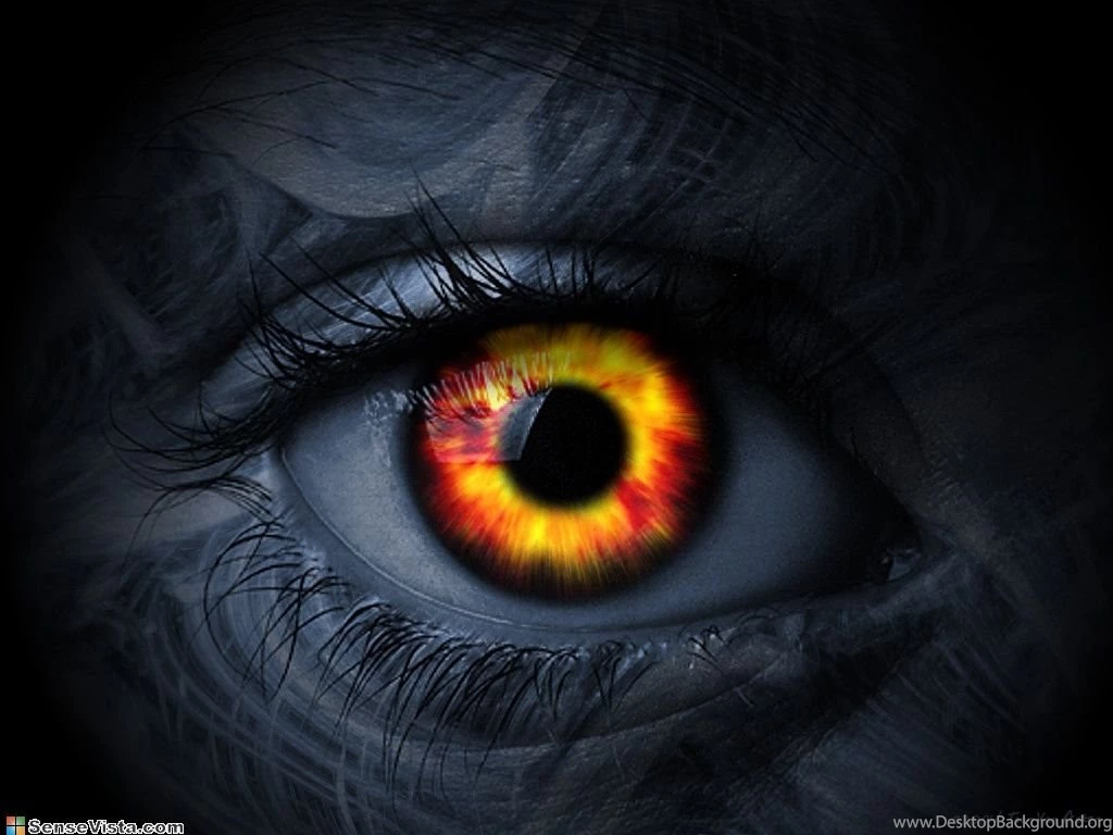 Amazing Wallpapers   Wallmanage.com