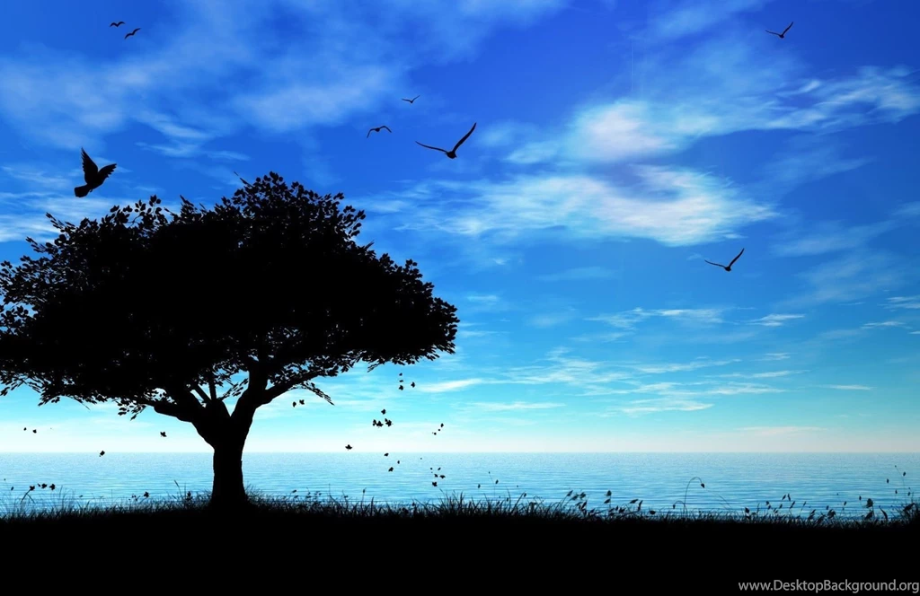 Love Wallpapers
