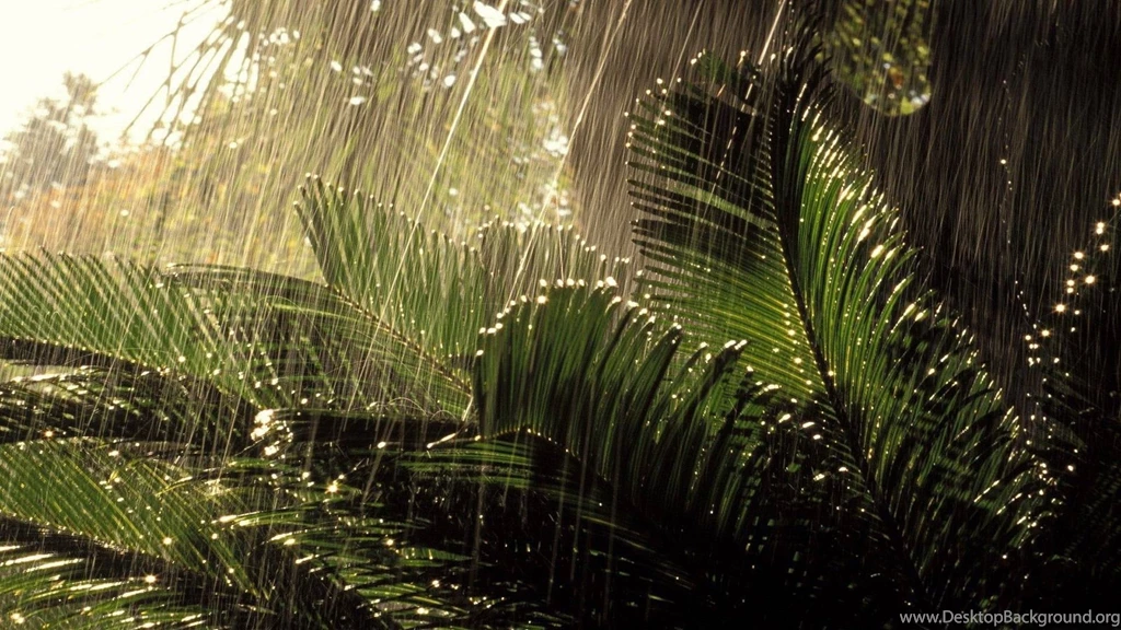 Nature HD Wallpapers