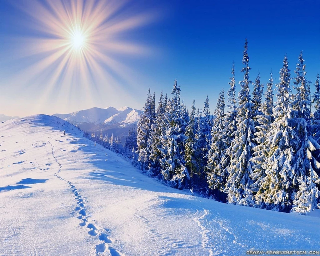 Winter Sun Wallpapers Crazy Frankenstein