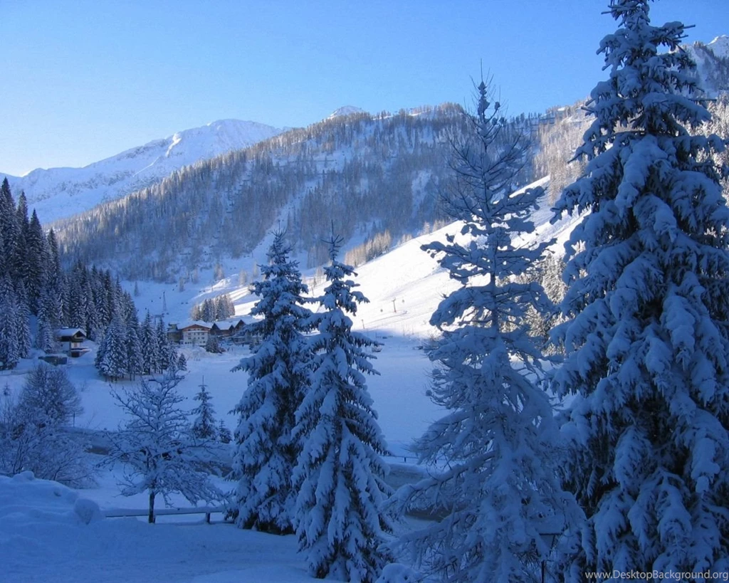 Tree In Winter 1280x1024 Wallpapers, 1280x1024 Wallpapers ...
