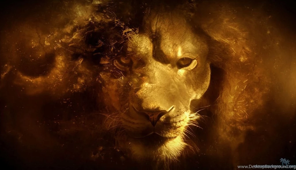 Truly Beautiful Lion Wallpapers