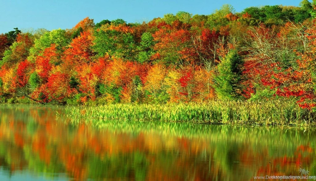 Stunning Colors Of Autumn Wallpapers