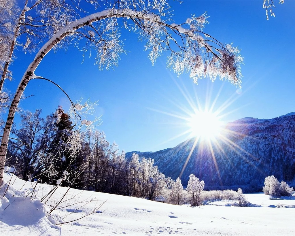 Winter, Snow, Mountains And Trees, White Scenery, Dazzling ...