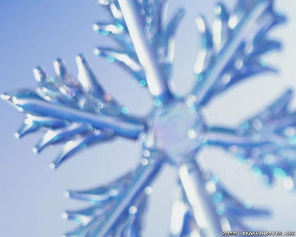 Winter Snowflakes Wallpapers Crazy Frankenstein