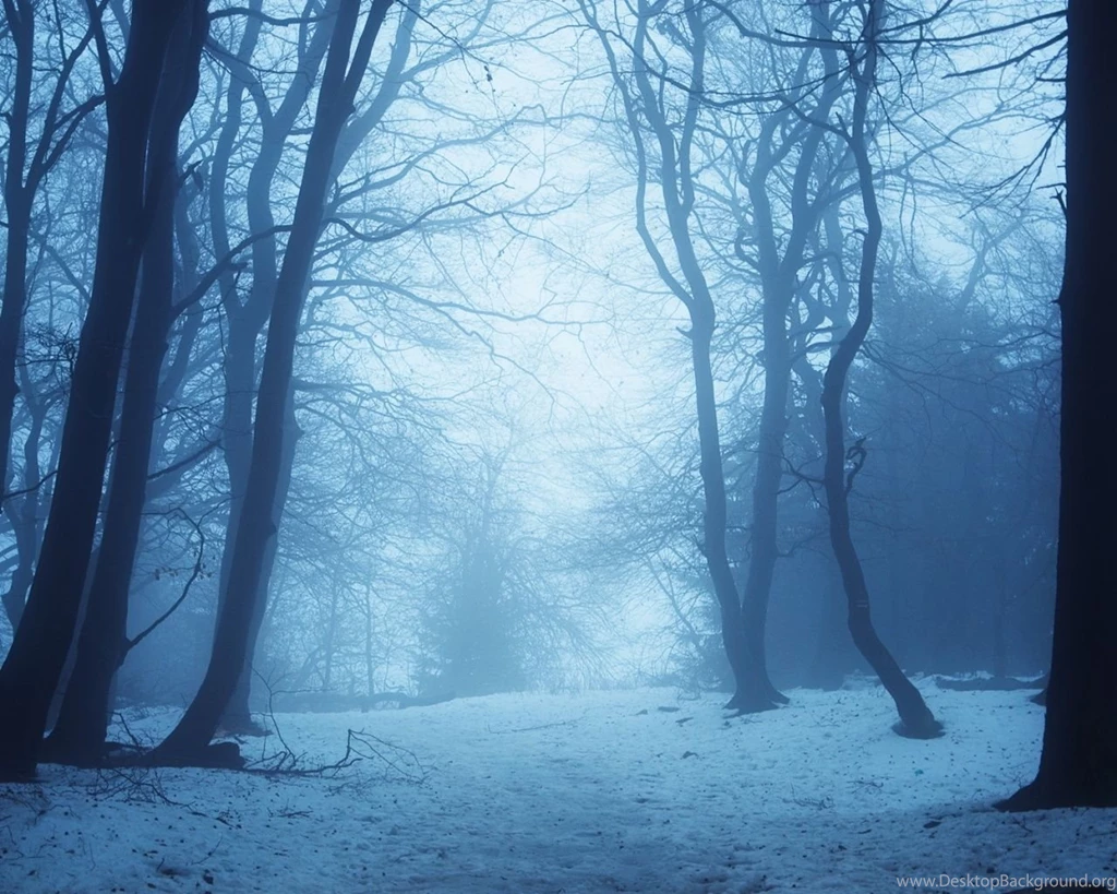 1280x1024 Winter Forest Twilight Wallpapers