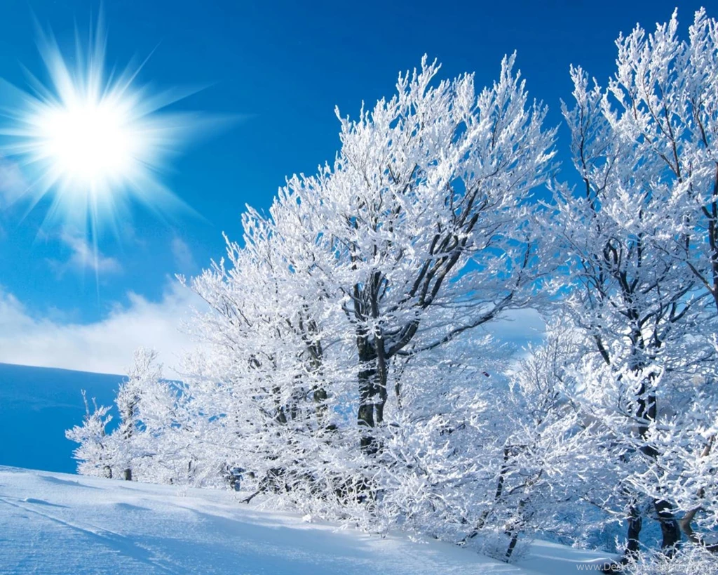 Winter Wallpapers 1280x1024 Notebook/LCD Wallpaper