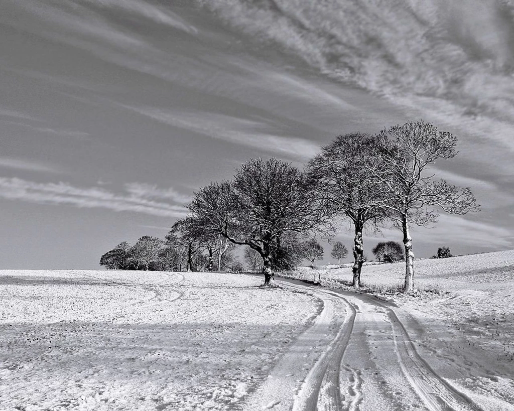 1280x1024 Black And White Winter Desktop PC And Mac Wallpapers