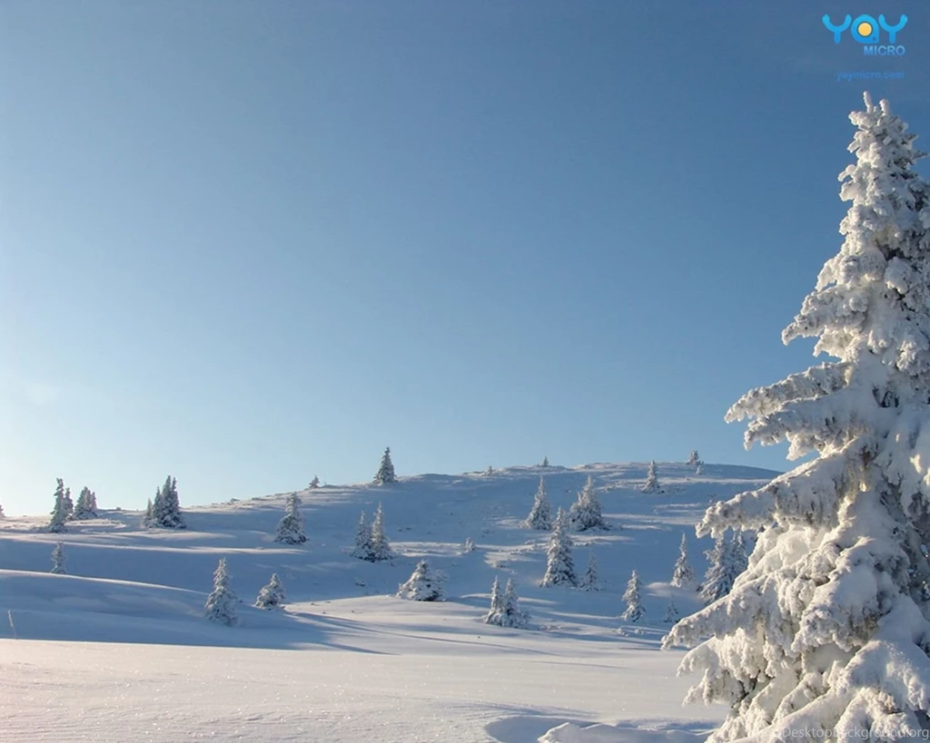 Winter Wonderland Backgrounds Wallpapers 63697