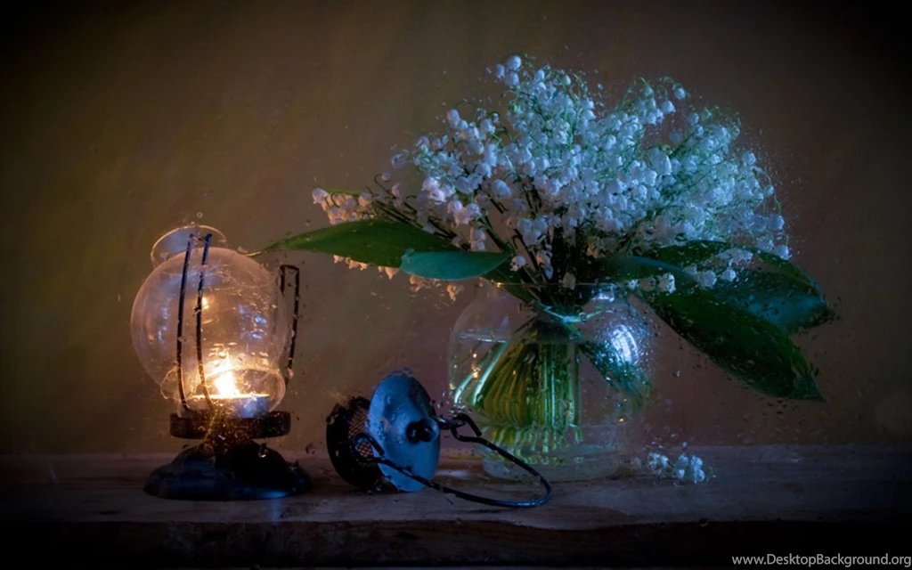 Still Life Computer Wallpapers, Desktop Backgrounds