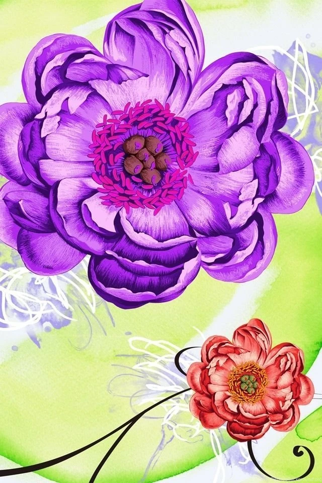 Daisies Flower Arts Iphone 3gs Wallpapers Free 640x960 Pop Hd ...