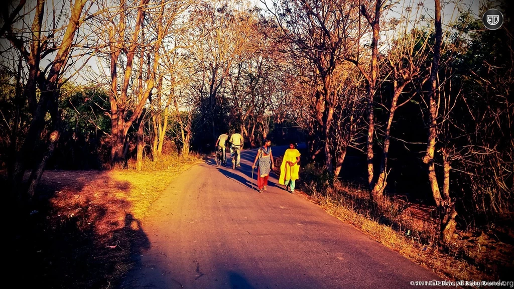 Lomography HD Wallpaper Backgrounds – Autumn Evenings