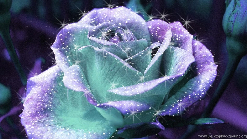 Wallpapers Sparkly Rose   1600 X 900   Nature Flowers Leaves Falls ...