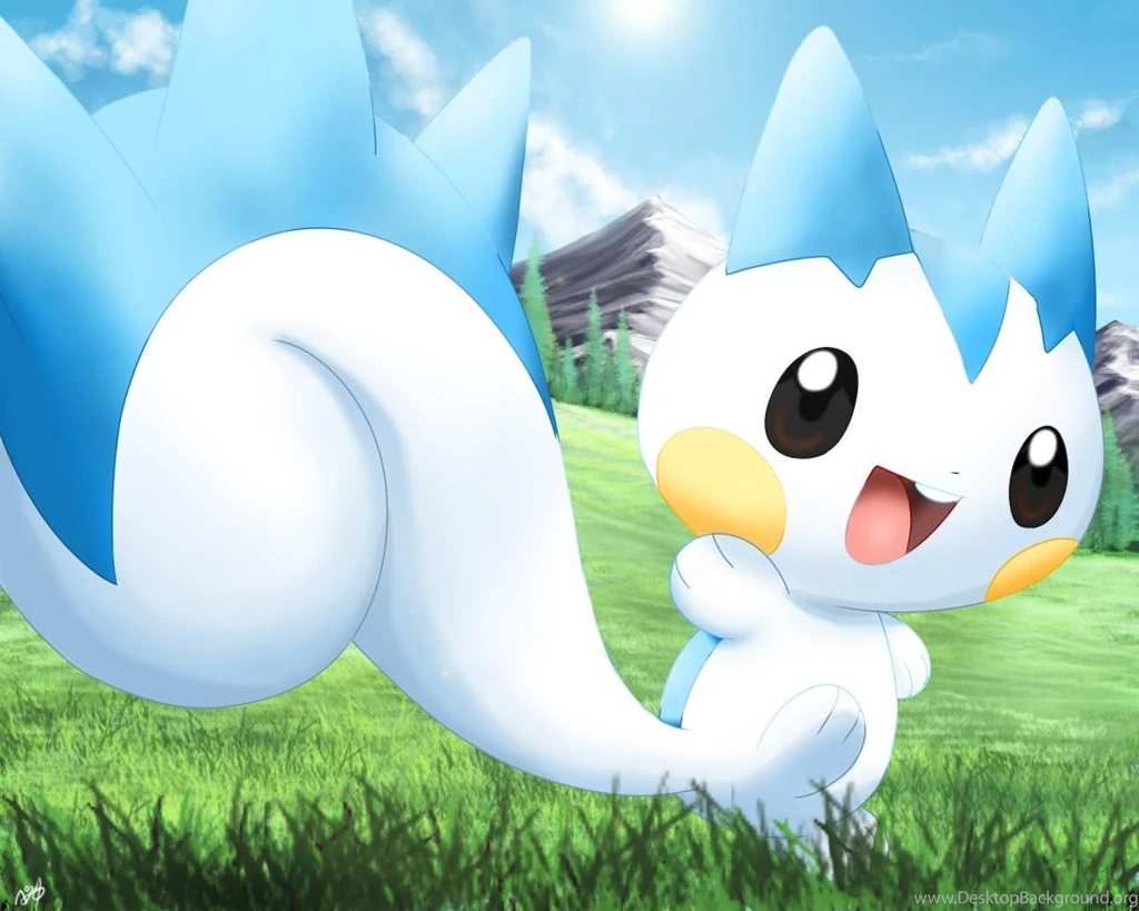 Pachirisu/