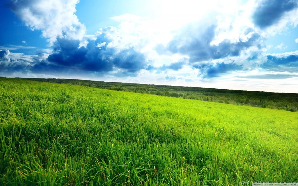 Field HD Wallpapers