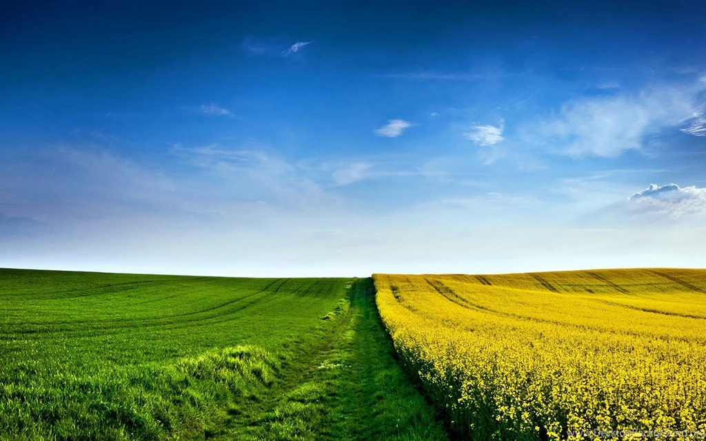 15 Wonderful HD Field Wallpapers HDWallSource.com