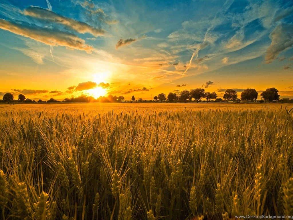 Field Hd Wallpapers ›› Page 2