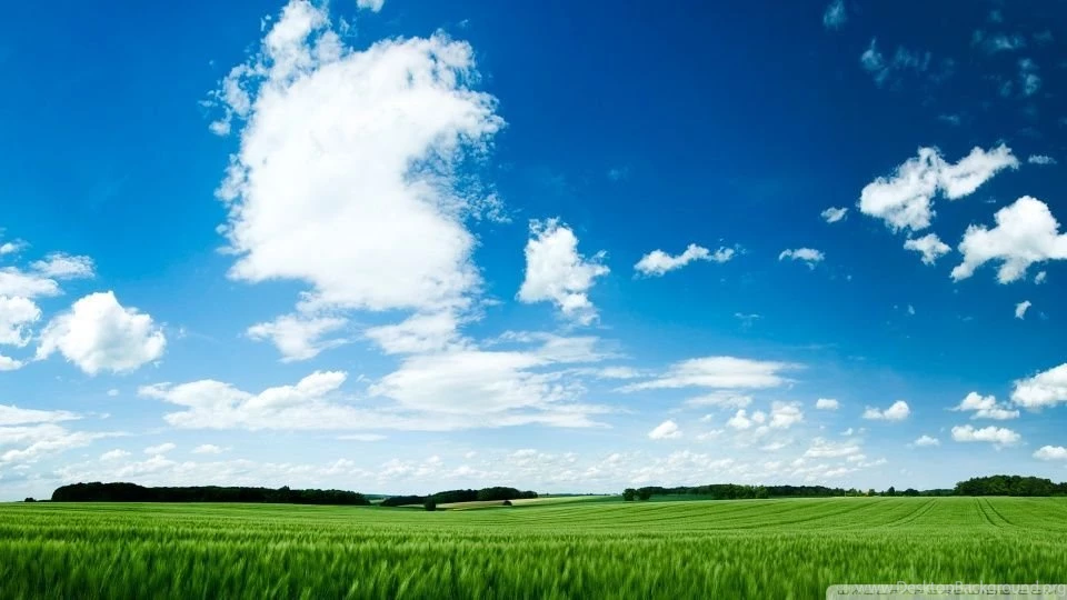 Green Field HD Desktop Wallpapers : High Definition : Fullscreen ...