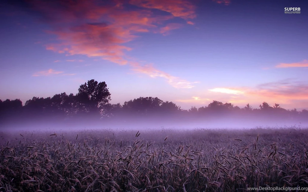 Foggy Field Wallpapers Nature Wallpapers
