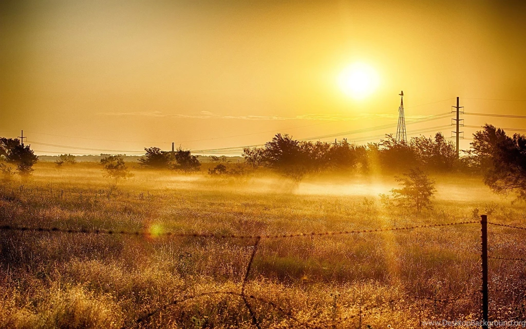 Summer Sun Field Wallpapers