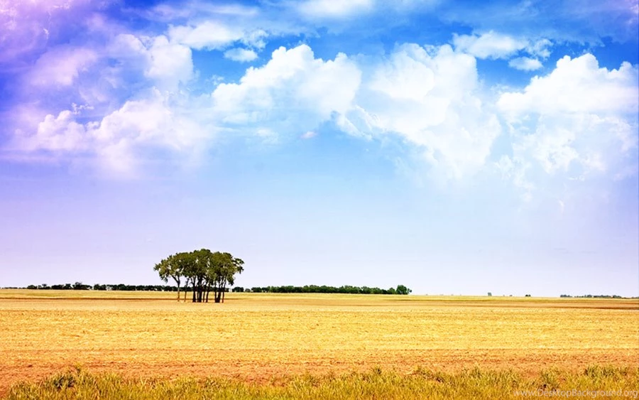 Field Wallpapers By Rauwgh On DeviantArt