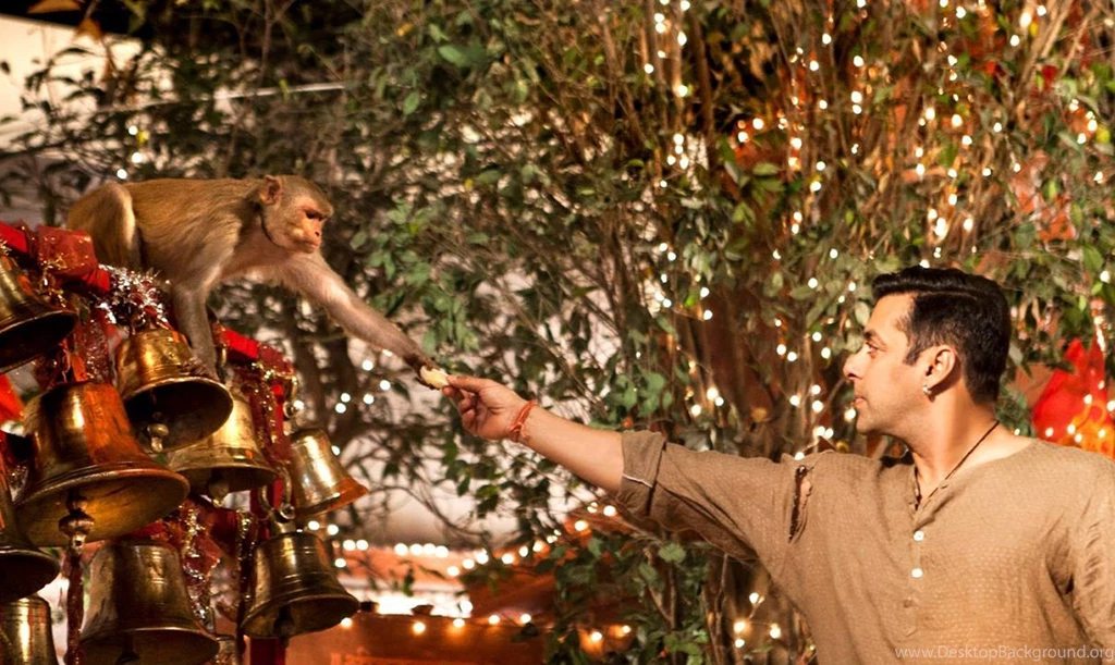 Salman Khan 2015 Movie Sultan HD Wallpapers StylishHDWallpapers