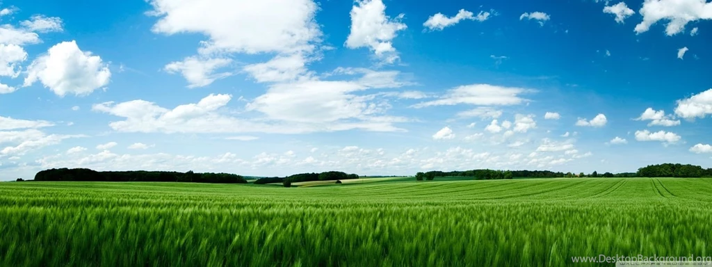 Green Field HD Desktop Wallpapers : High Definition : Fullscreen ...