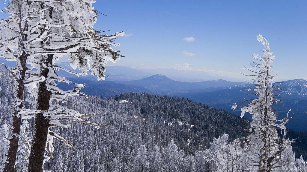 Winter HD Wallpapers