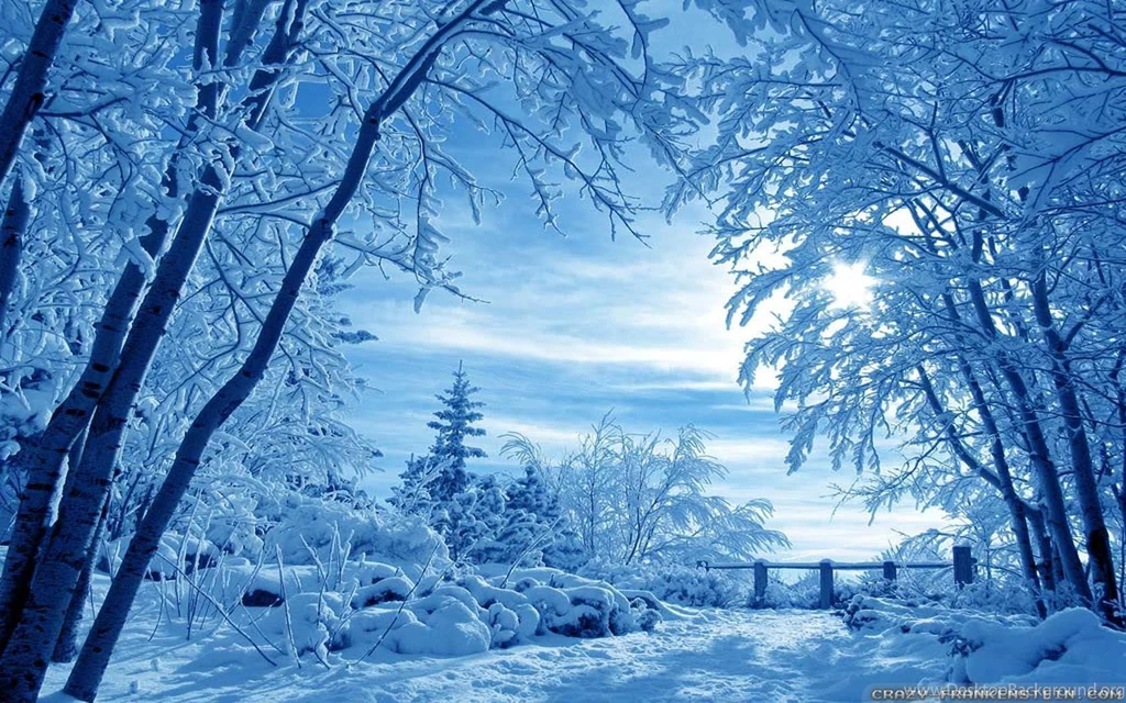 Winter Nature Wallpapers 3 Crazy Frankenstein