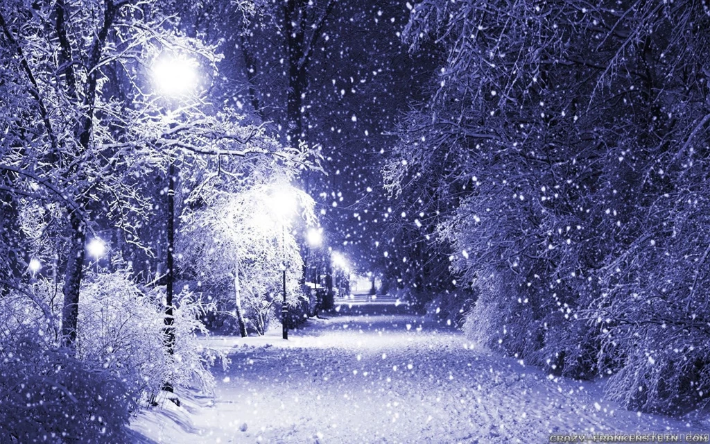 Winter Night Wallpapers   Crazy Frankenstein