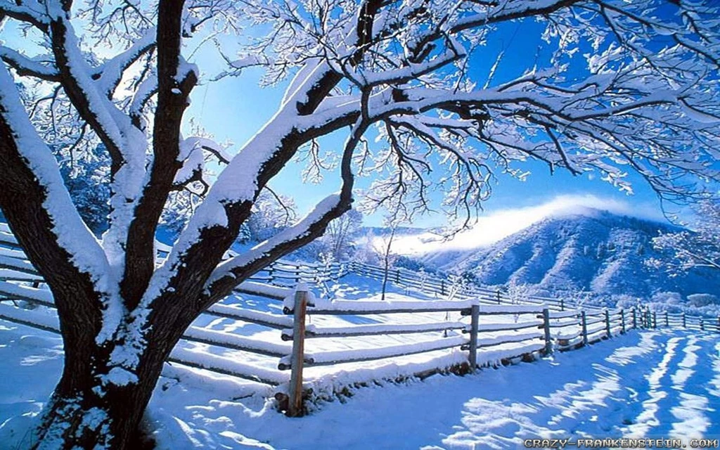 Winter Countryside Wallpapers 2   Crazy Frankenstein