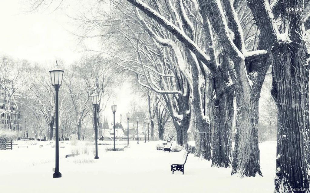 Winter In The Park Wallpapers   Photography Wallpapers