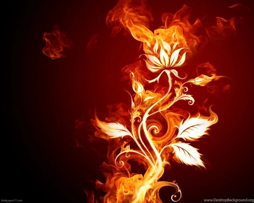 Fire Flower, 1280x1024 Pixels : Wallpapers Tagged Abstract ...