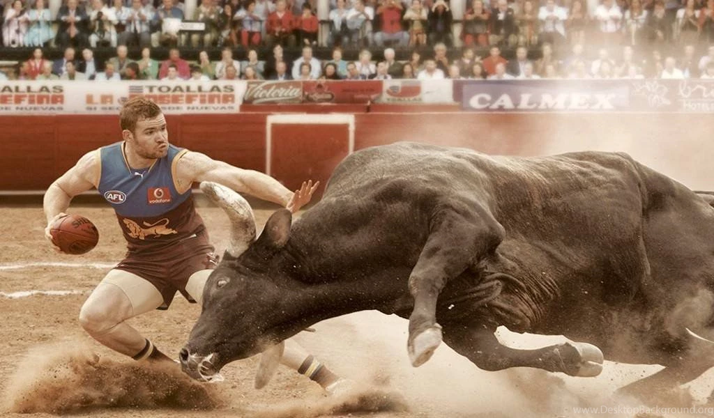 Gallery For Bulls Rugby Wallpapers